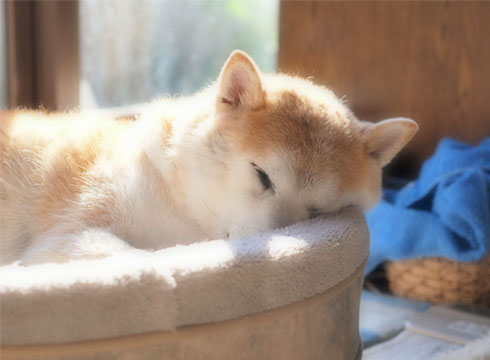 23日ブログ9.jpg