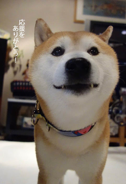31日ブログ3