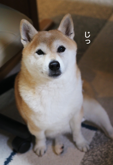 10日ブログ２