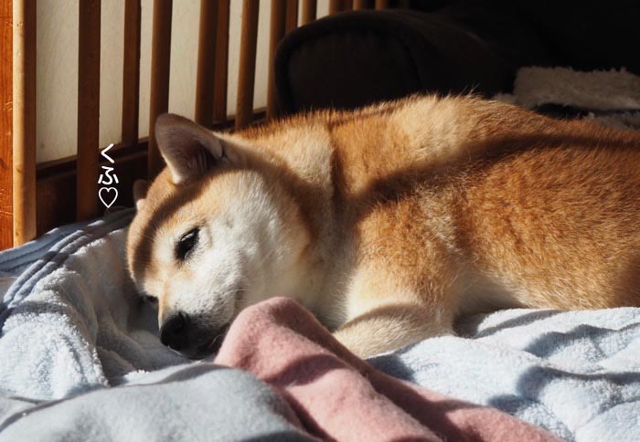 21日夜ブログ７