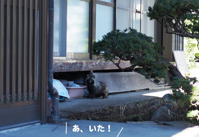 3日ブログ３