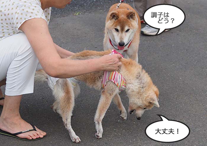 14日ブログ５