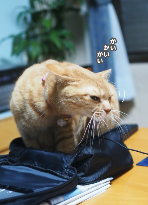 26日ブログ４