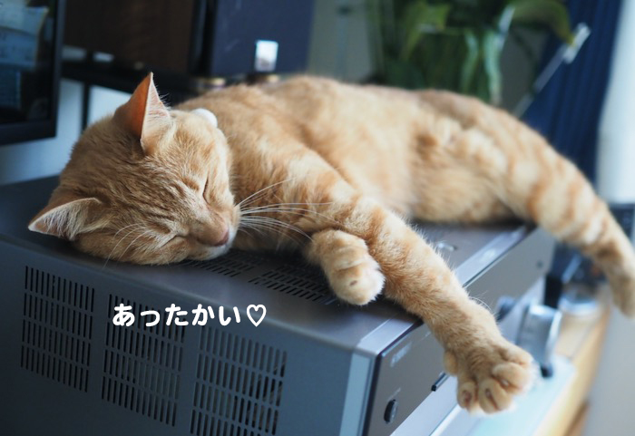 22日ブログ３
