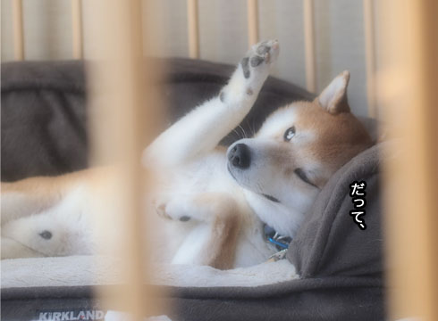 14日ブログ9.jpg