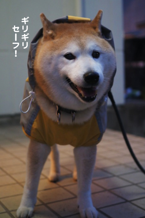 21日ブログ４