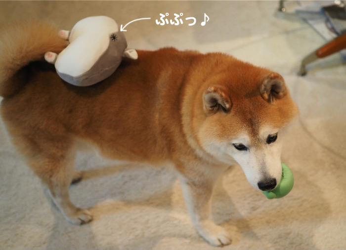 10日ブログ３