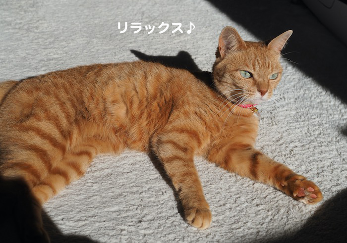 7日夜ブログ3