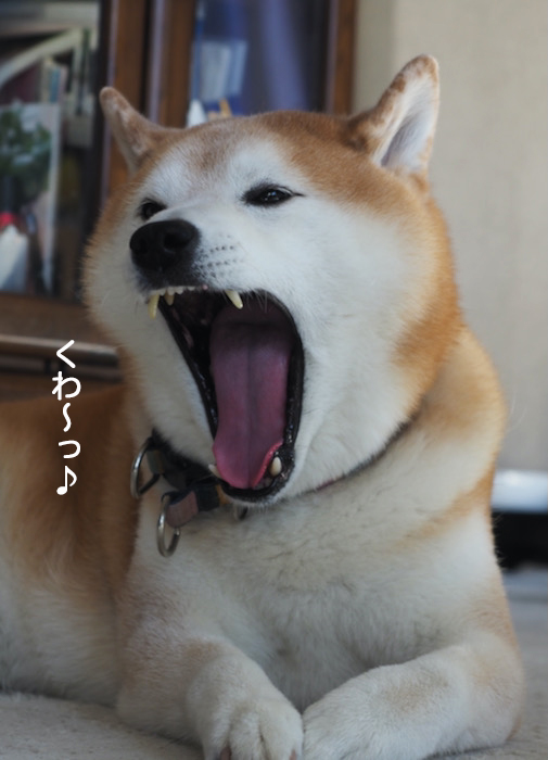 29日夜ブログ７