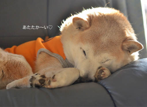 26日ブログ6.jpg