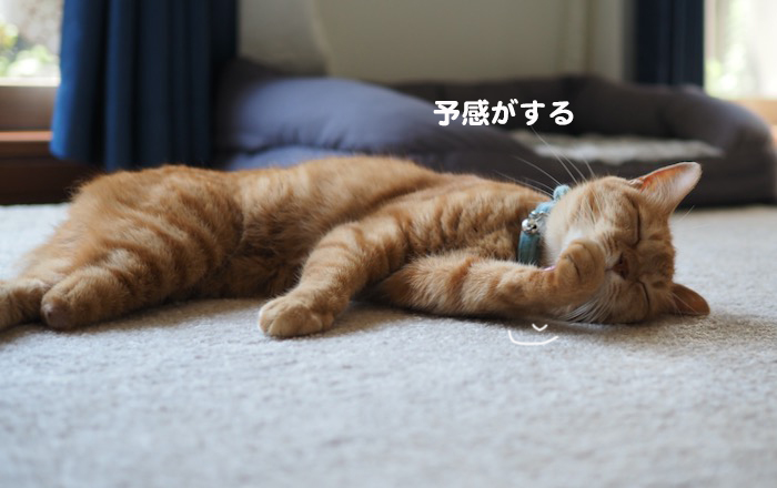15日夕ブログ５