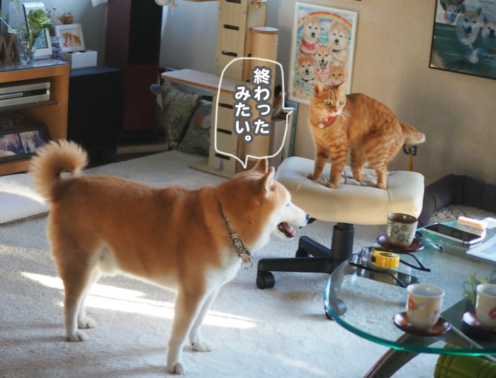 26日夕ブログ２