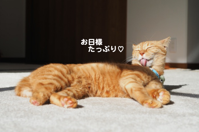 14日夕ブログ４