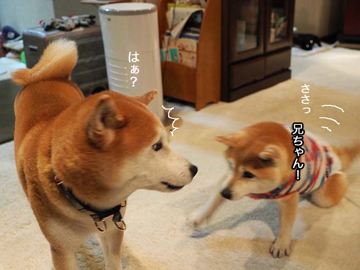 28日ブログ２