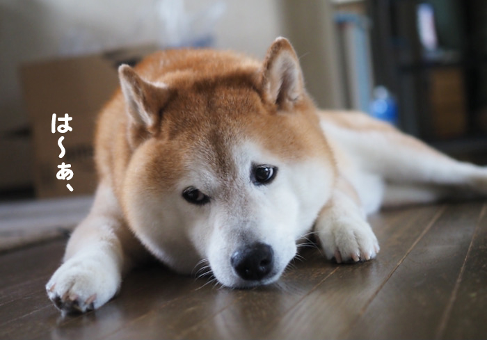 21日夜ブログ３