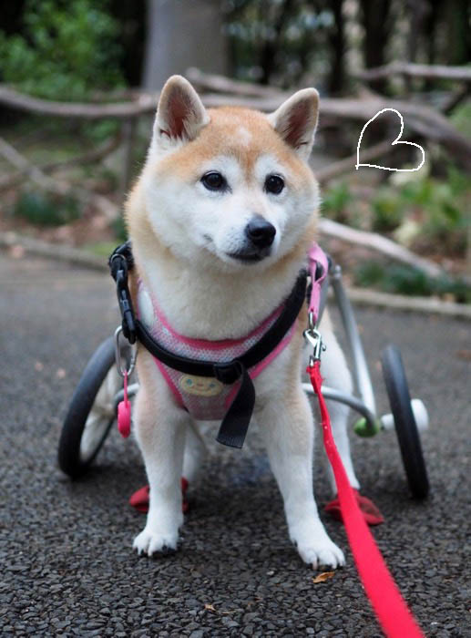 20日夕ブログ３