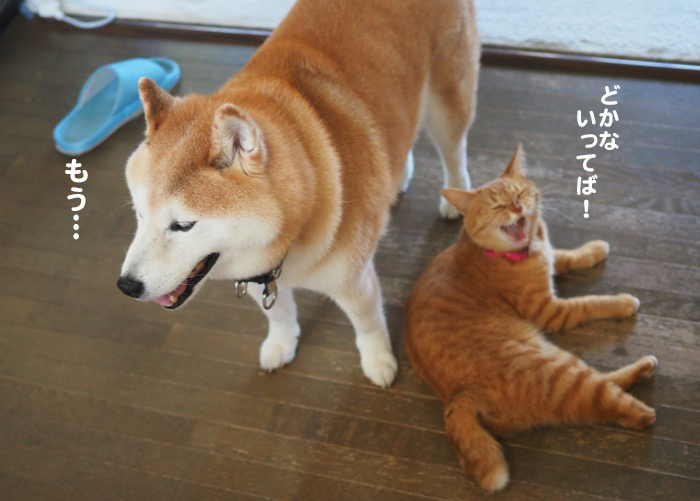 2日夕ブログ４