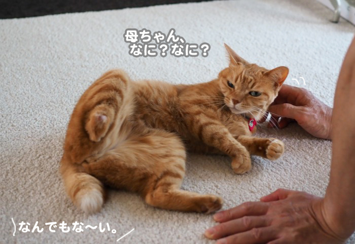 26日夕ブログ９