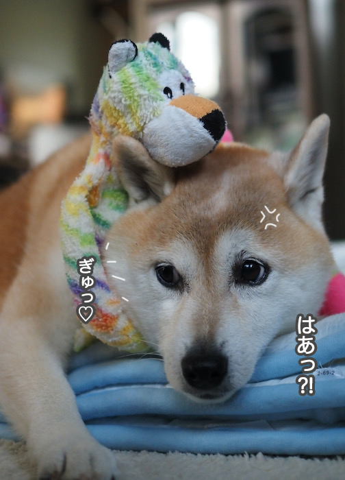 13日夜ブログ７