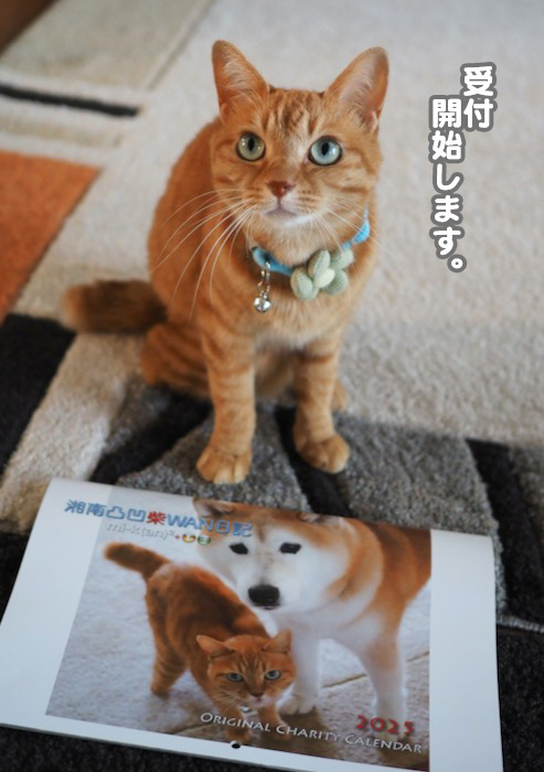 17日夕ブログ３