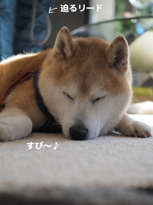 23日夕ブログ２