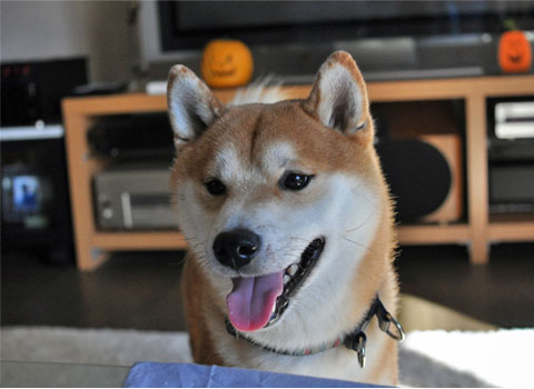 30日ブログ13.jpg