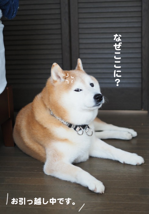 11日ブログ３