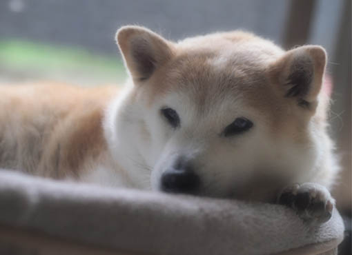 2日ブログ3.jpg