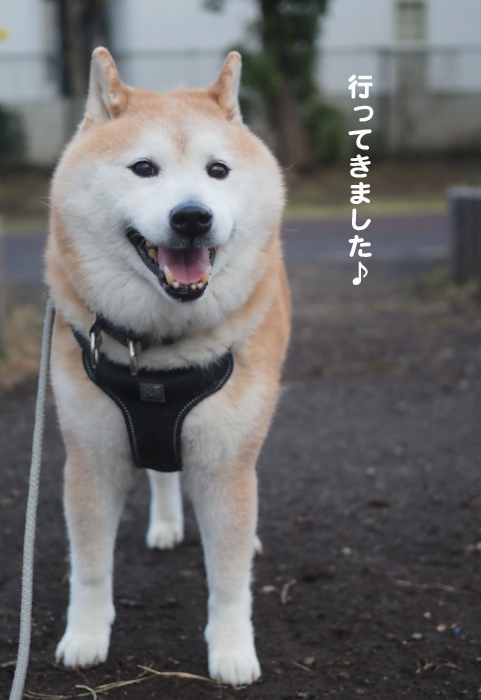 4日夕ブログ５