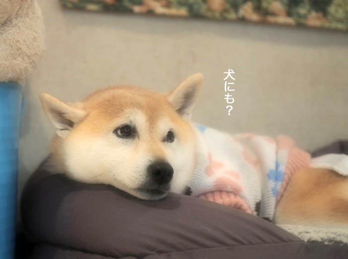 22日夜ブログ２