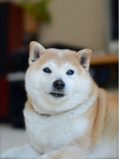 8日ブログ6.jpg