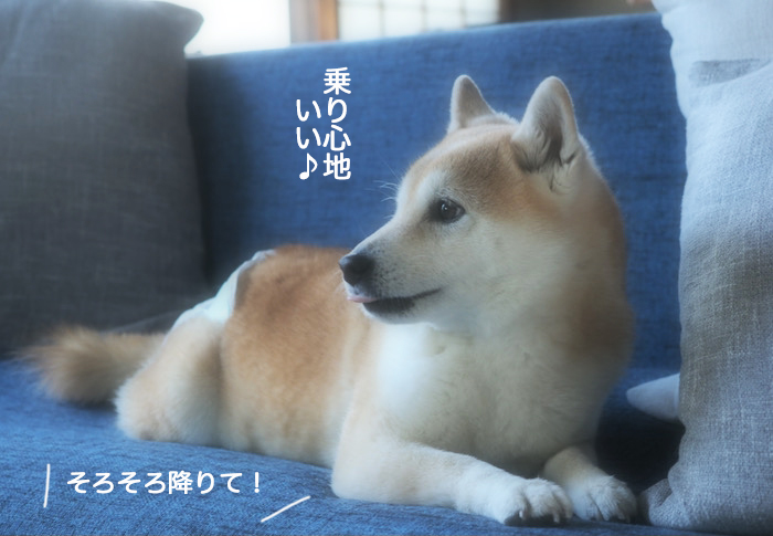 26日ブログ５