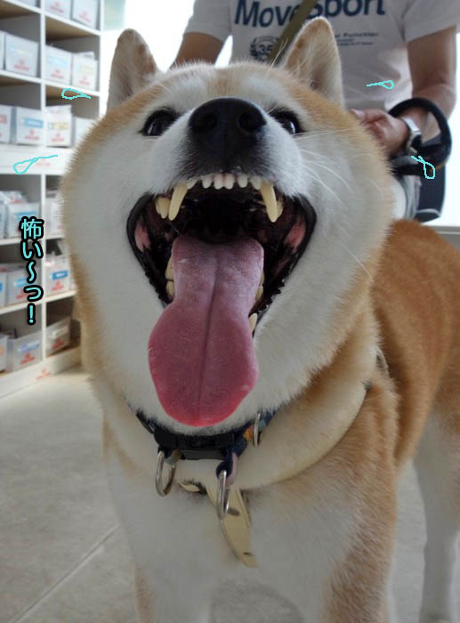 23日ブログ６