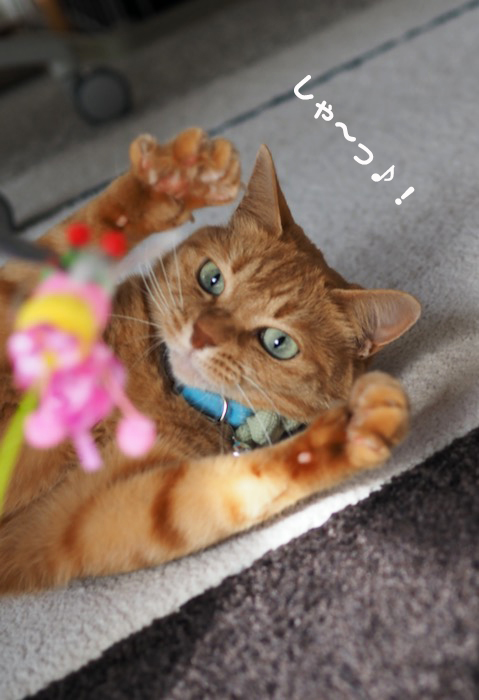 4日ブログ６