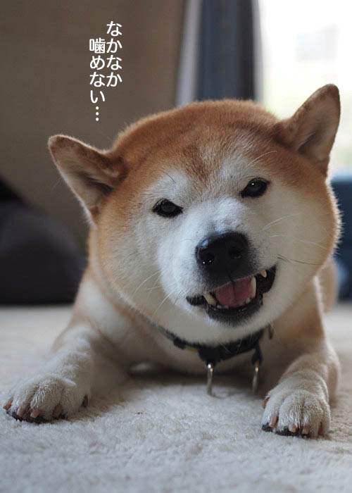 6日ブログ７
