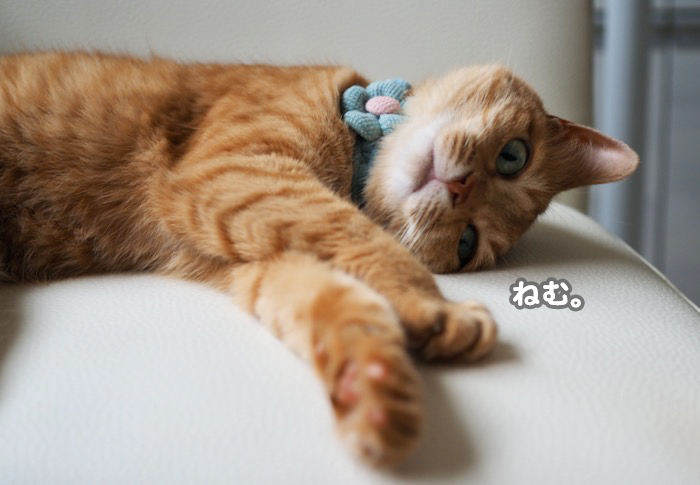 30日夕ブログ６