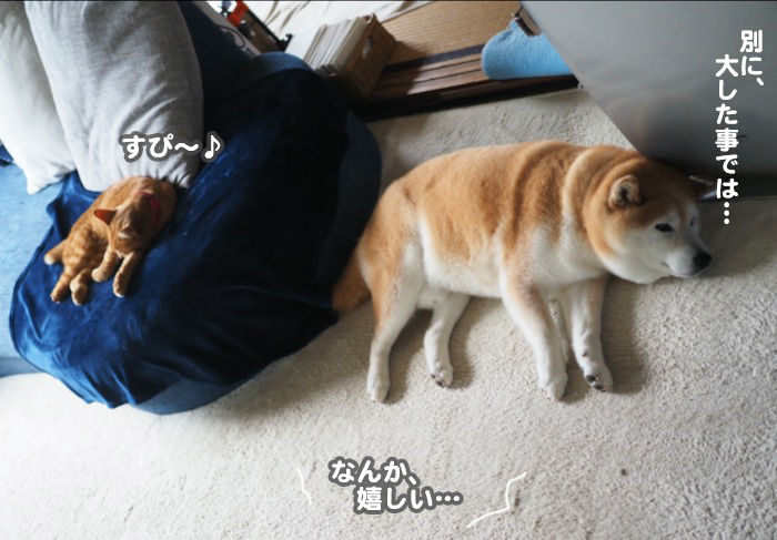 25日ブログ２