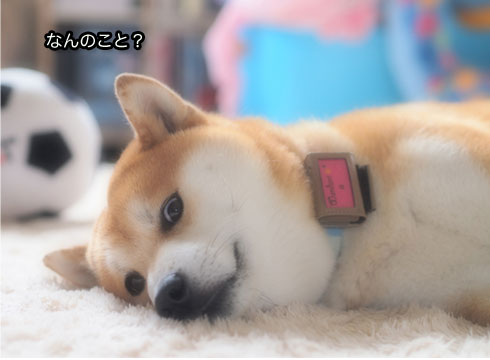 25日ブログ9.jpg