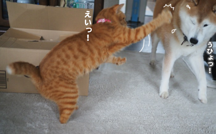 7日朝ブロググ１