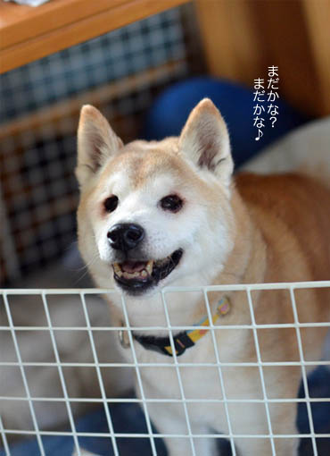 28日ブログ12.jpg