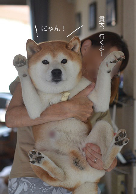 24日ブログ2