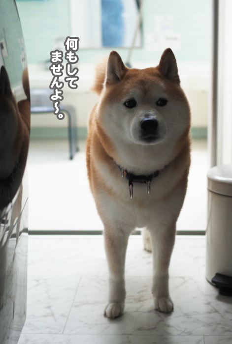 9日夕ブログ８