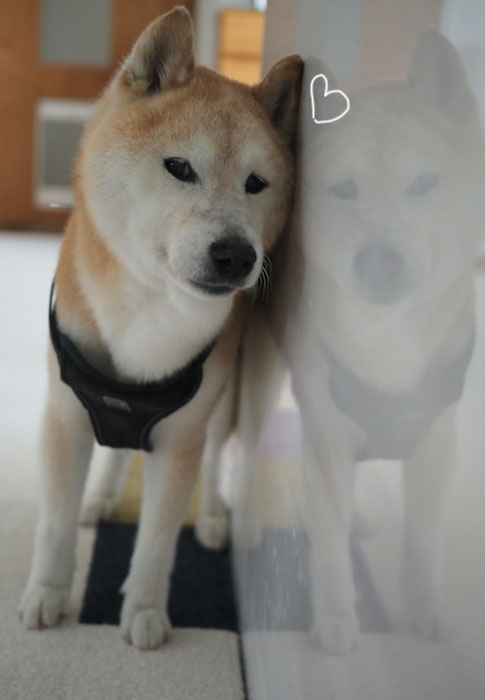 ６日１