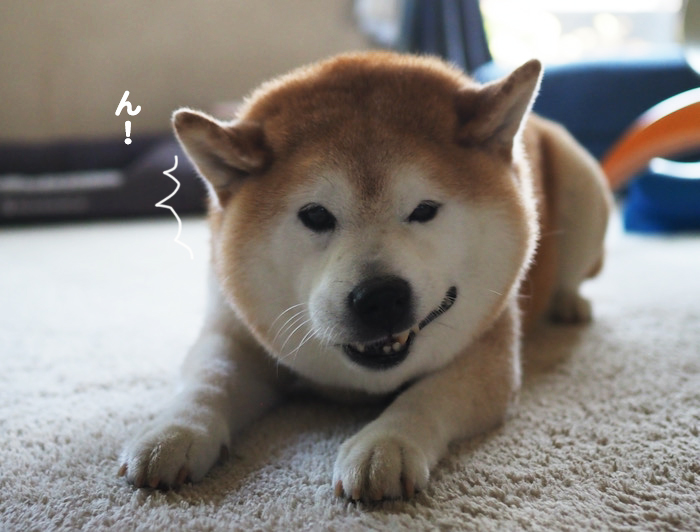 10日ブログ４