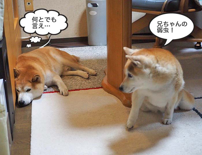 2日午後ブログ８