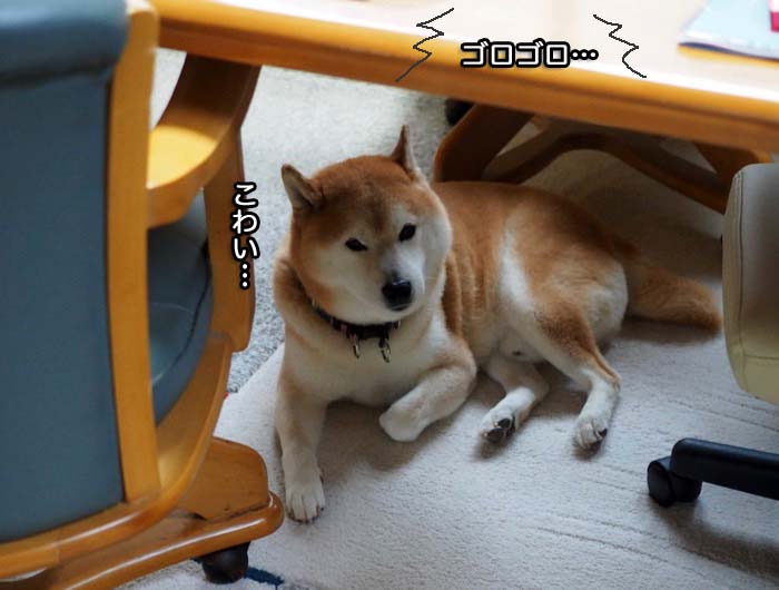 13日午後ブログ２