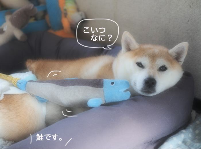 20日ブログ２