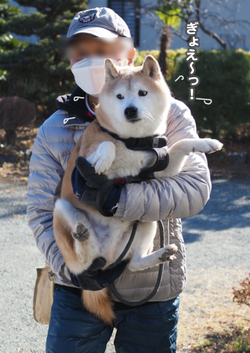 8日ブログ３