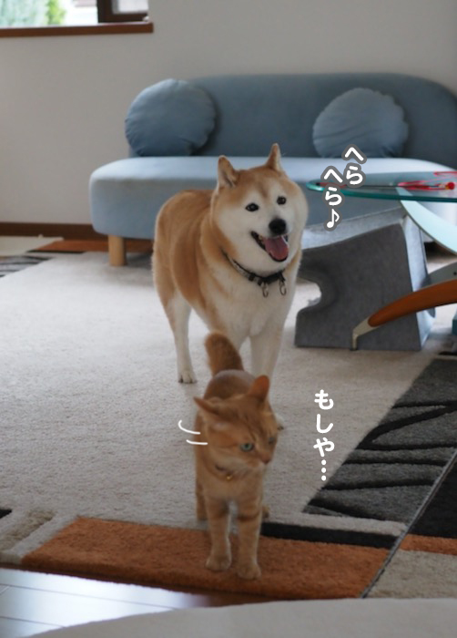 27日夕ブログ３