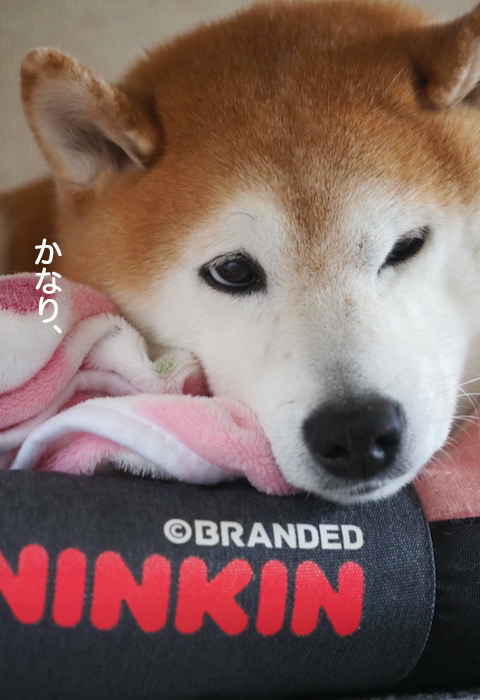 9日ブログ４